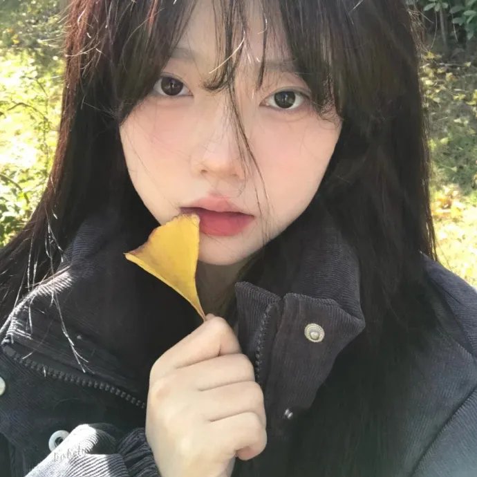 风流太子
